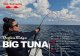 リップルフィッシャー ＢＩＧ ＴＵＮＡ ７３ JAPAN Special