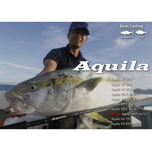 画像: リップルフィッシャー Ａｑｕｉｌａ ＳＴ ８１-２