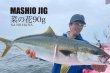 画像3: ＭＡＳＨＩＯ<br>MASHIO JIG 菜の花 ９０ｇ