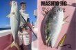 画像3: ＭＡＳＨＩＯ<br>MASHIO JIG 菜の花 ７０ｇ